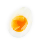 image egg